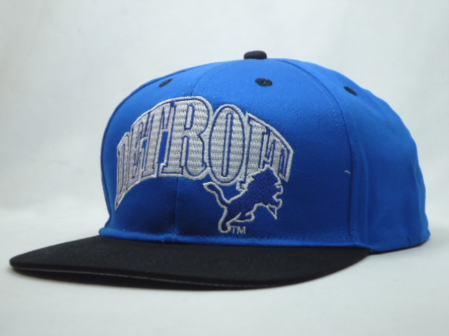 NFL Detroit Lions NE Snapback Hat #12